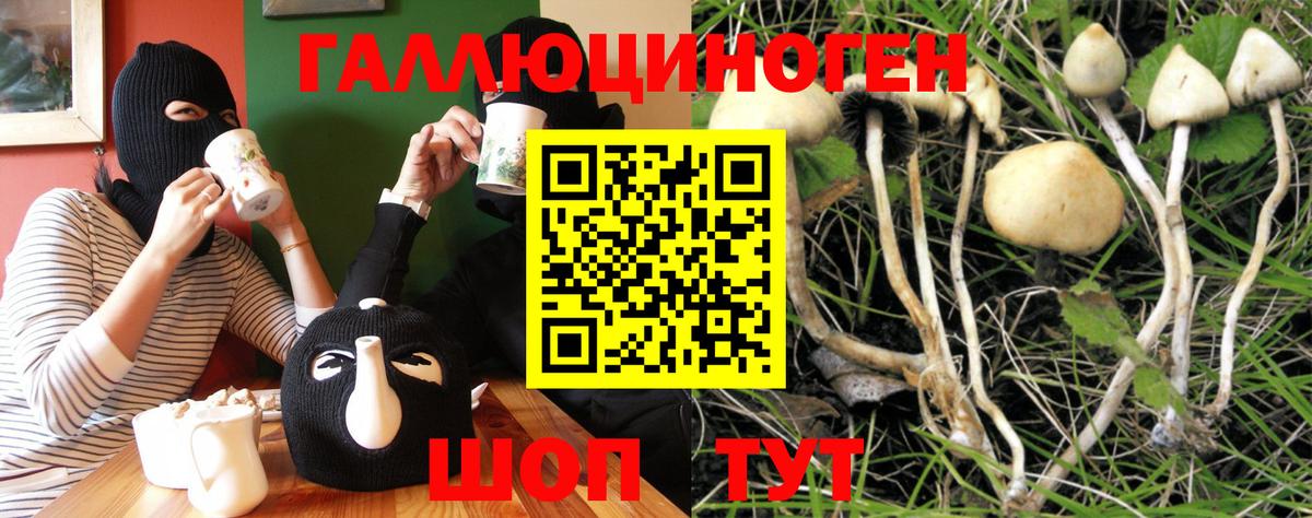 Галлюциногенные грибы мицелий  Вход с VPN  Галлюциногенные грибы Magic Shrooms  Подольск 