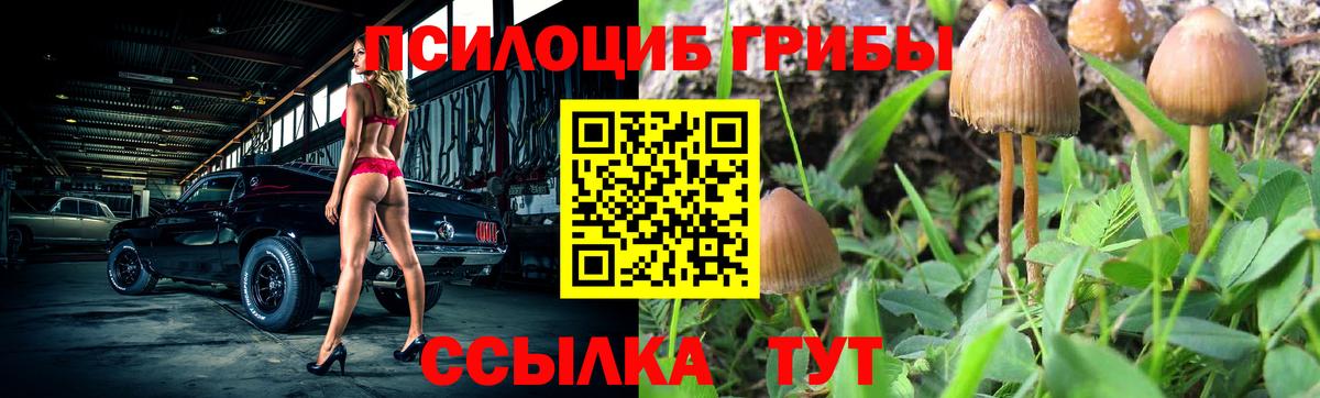 Псилоцибиновые грибы MAGIC MUSHROOMS Подольск